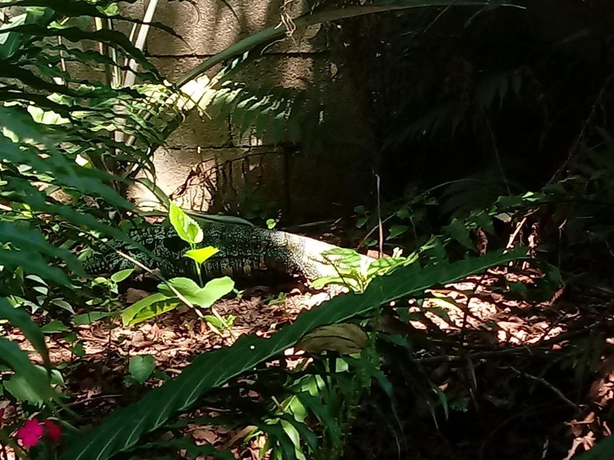 Casa Alquiler En Bombas Bombinhasヴィラ エクステリア 写真